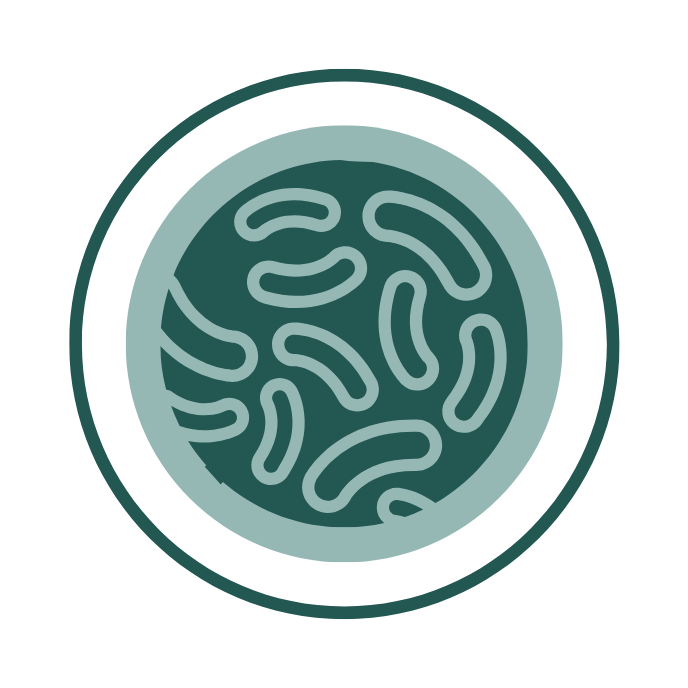 Postbiotic supplement icon – abstract green microorganisms inside circular design on dark green background, linking to U Better gut health and microbiome support collection