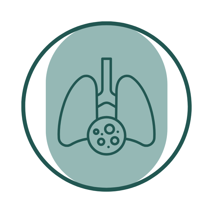 General health icon – stylized human lungs with magnified alveoli on teal circular background, linking to U Better natural wellness collection